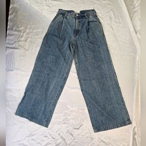 AGOLDE Relaxed Wide-Leg Jeans in Washed Blue